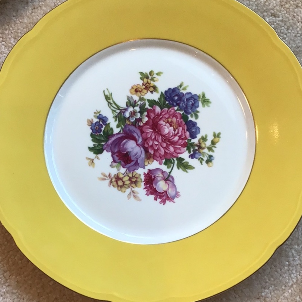 Vintage Czech Bohemian F&R Baronet Fine China dinner plates
